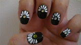 *Daisy* nail art design