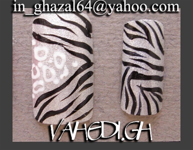 ~ghazal~  zebra design