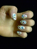 cool multi coloured leopard print nails 