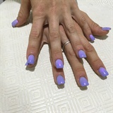 Purple violet simmer 
