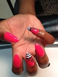 Pink Points with stripe and cheetah
