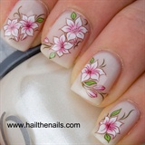 Pink &amp; white lily&#39;s water nail transfers