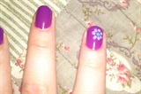 Purple Lilac Flower