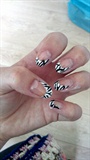 Zebra Nails.
