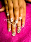 cheetah love