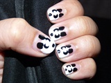 Cute Little Pandas