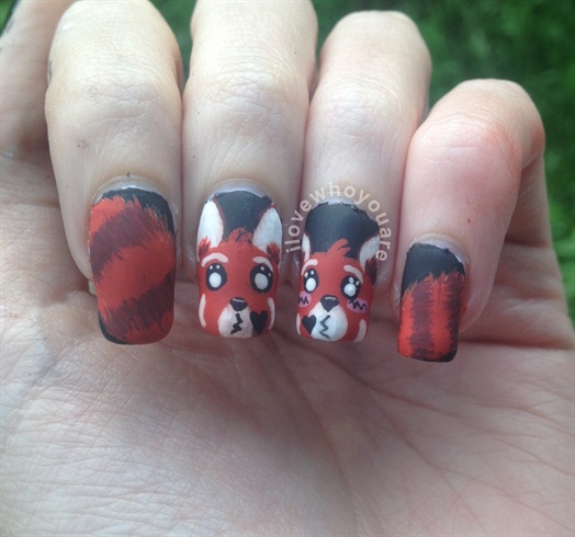 Cutesy Red Pandas 
