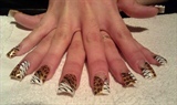 Zebra and leopard handpainted nail art