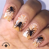 Halloween Spiders 