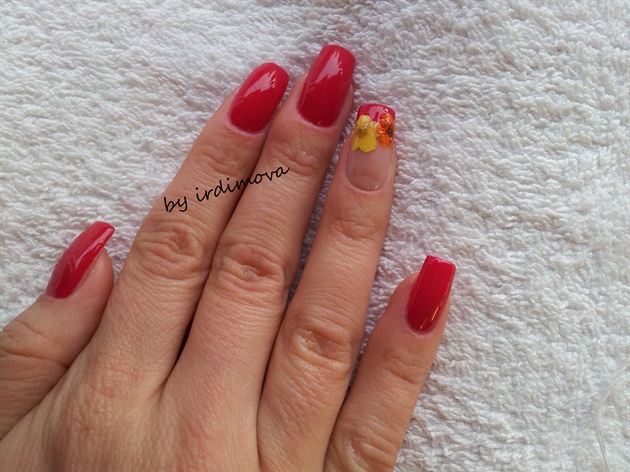 Shellac red with dry flowers