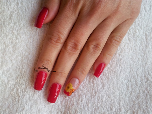 Red shellac with dry flowers
