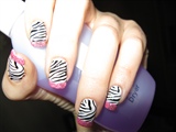Sweety zebra ;)