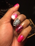 Sexy Zebra&#39;s In Pink