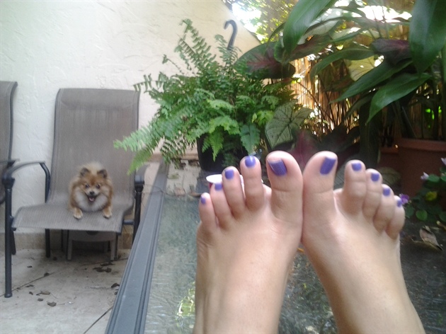Purple Haze Toes - Solid