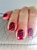 Red Leopard 