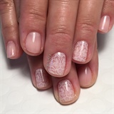 Sheer Pink W/ Lace Accents