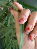 Betty&#39;s nails with reeds