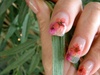 Betty&#39;s nails with reeds