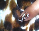cheetah nail