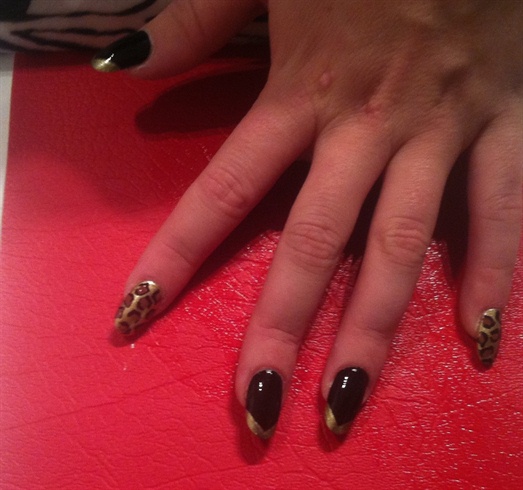Black &amp; Gold with a bit of leopard 