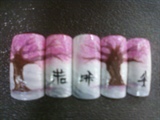 cherry blosson tree
