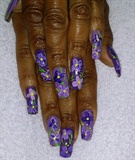 Violet Blossoms