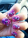 Cheetah zebra Pink Fade &lt;3