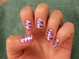 purple zebra