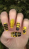 Wasps :)