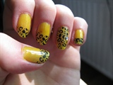 Sunny leopard