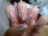 Rainbow Zebra