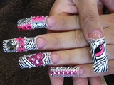 zebra and pink