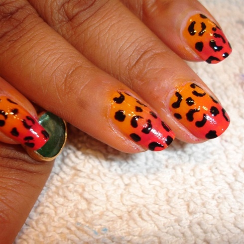 Leopard with Ombre