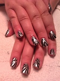 Silver Zebra