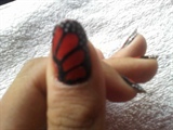 red fly