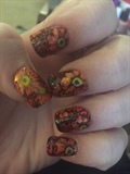 Pretty Poppies