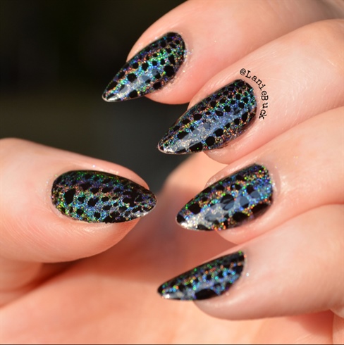 Holographic On Black
