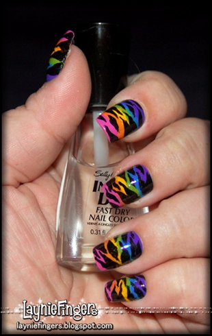 Rainbow Zebra 1