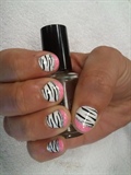 Girlie Zebra