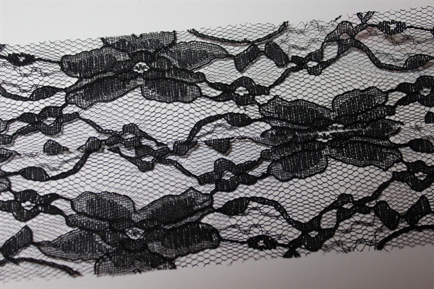 This is the lace fabric I used as a reference. 