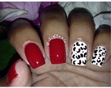 Red And Leopard 