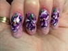 Hand Painted Irises 