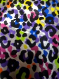 Multicolour Cheetah