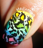 Rainbow Leopard Nails!
