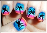 Palm Trees And A Sunset 