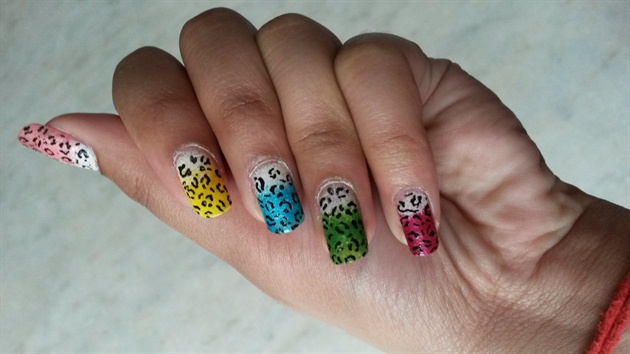 Multi-Coloured Leopard print