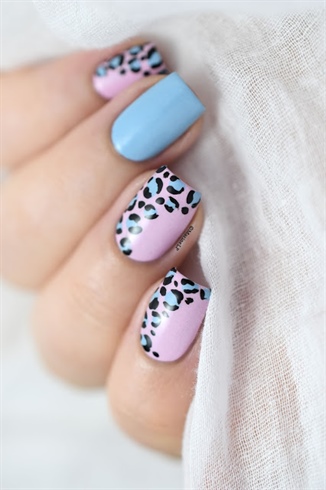 Pink and Blue leopard