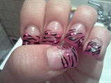 pink zebra 