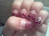 pink zebra 2