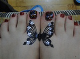 red&amp;butterfly